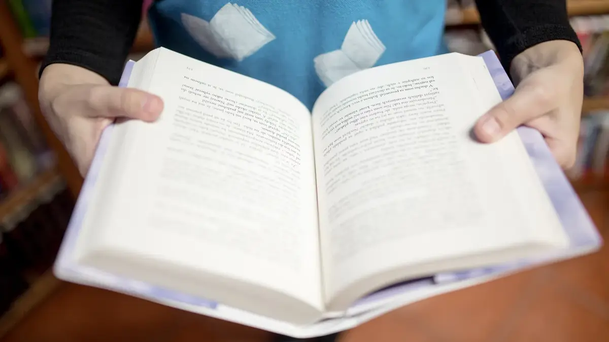 jasa konversi book chapter